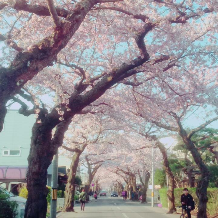 STAY Akeboshi Kan Hakodate Bagian luar foto